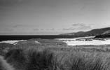 At last the beach lies behind the dunes