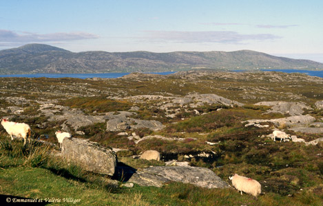 The eastern coast of Harris is very mineral