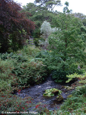 The gardens of Dunvegan castle